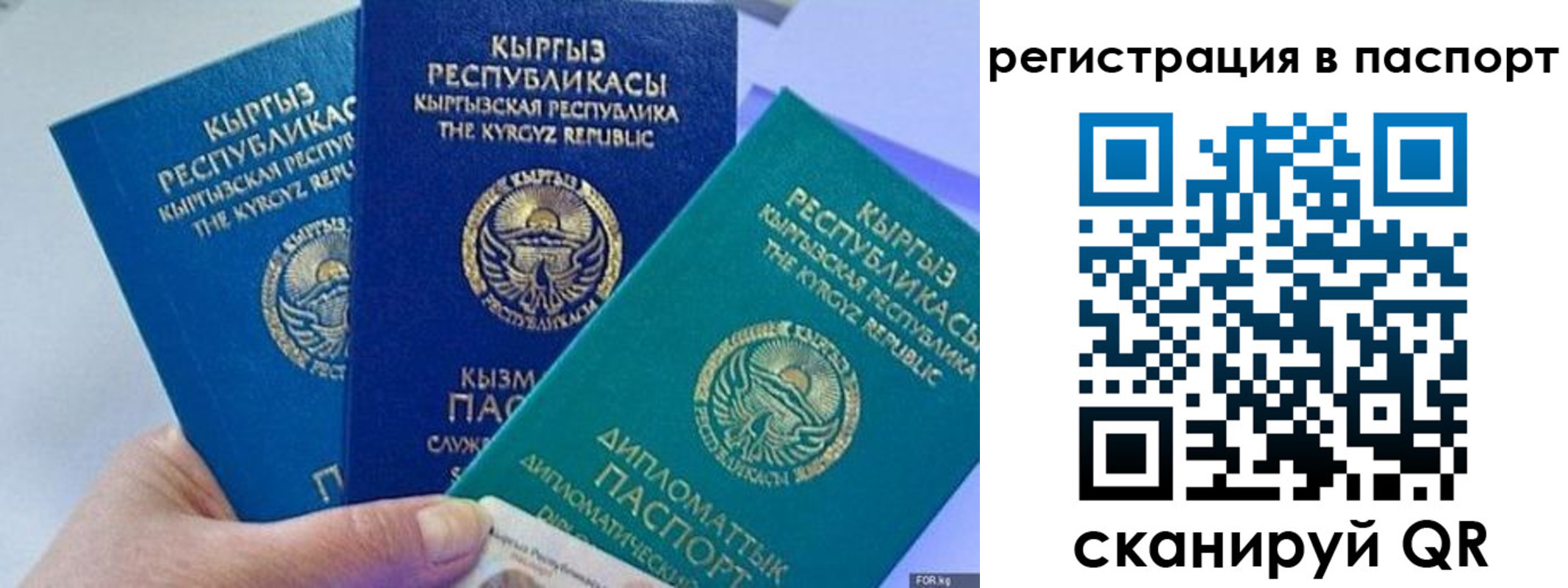 прописка 2025 в Алексине